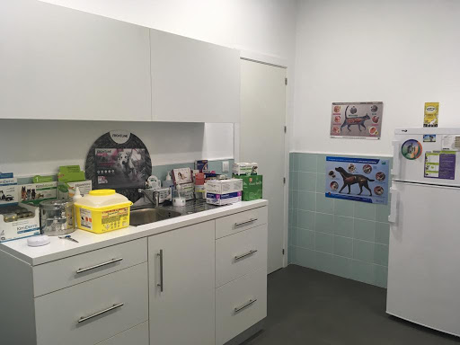 Clínica Veterinaria Guau + Miau Sevilla – Sevilla