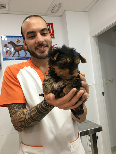 Clínica Veterinaria Guaudalupe – Guadalupe