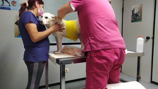 Clínica Veterinaria Guaza – Guaza