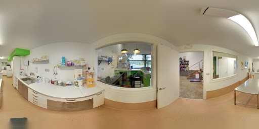 Clínica Veterinaria Gure Kide – Matiena