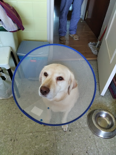 Clínica Veterinaria Haro – Haro