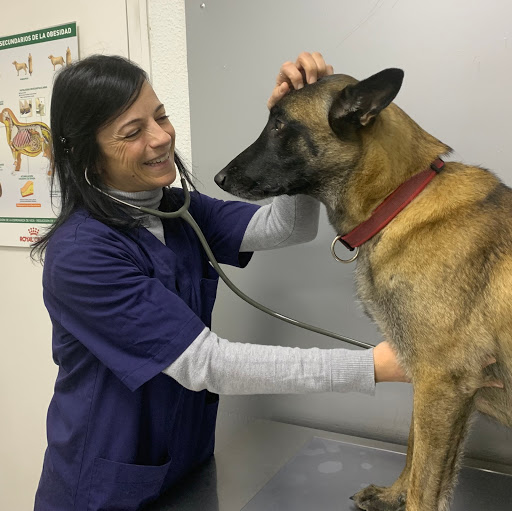 Clínica Veterinaria Hermosilla – The Gorilla Vets Company – Madrid