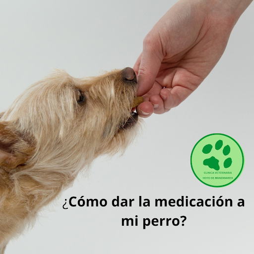 Clínica Veterinaria Hoyo de Manzanares – Hoyo de Manzanares