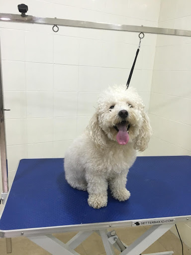 Clínica Veterinaria Hundesport Canarias – Las Palmas de Gran Canaria