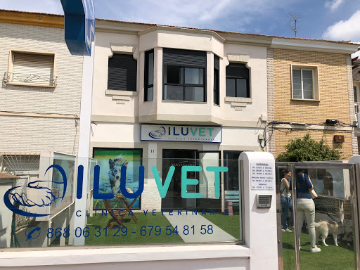 Clínica Veterinaria Iluvet – Cartagena