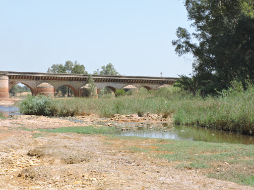 Clínica Veterinaria Isla Chica Niebla – Niebla