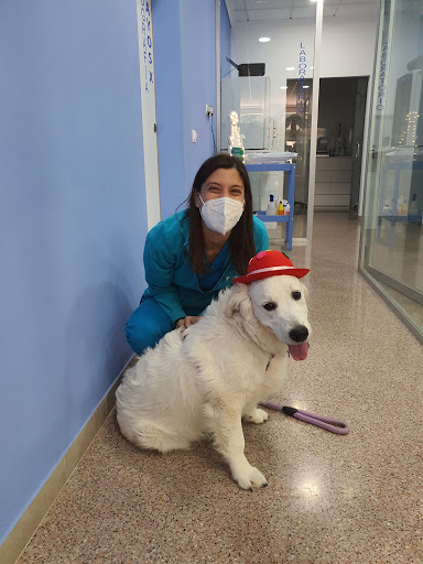 Clínica Veterinaria Izquierdo – Sant Vicent del Raspeig