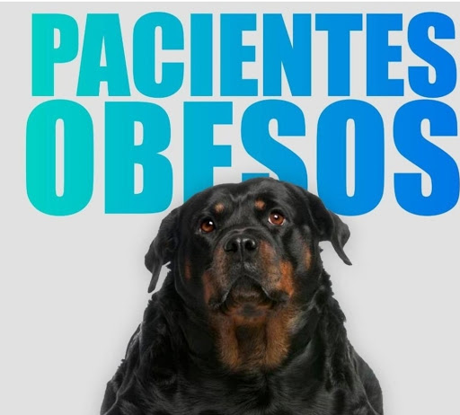 Clínica Veterinaria Jaia – San Pedro de Alcántara