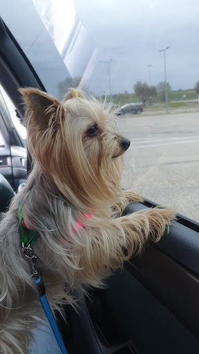 Clínica Veterinaria J.j. Rivas – Valladolid