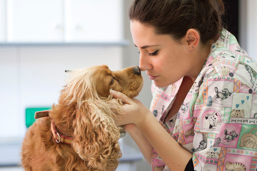 Clínica Veterinaria Juan Carlos de La Orden – Soria