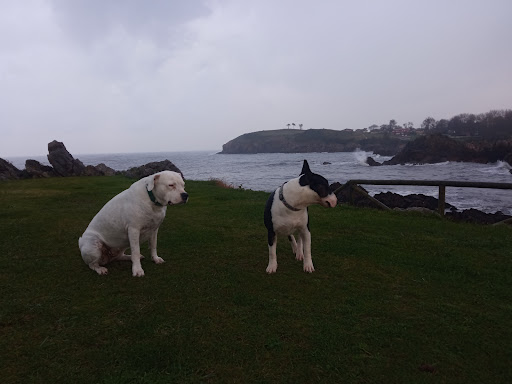 Clínica Veterinaria Kairos – Sant Vicenç de Montalt