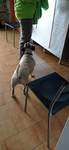 Clínica Veterinaria L Alqueria C.b. – L’Alqueria de la Comtessa