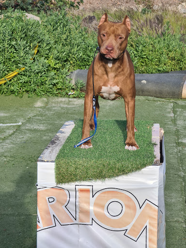 Clínica Veterinaria La Amazonia – Guía