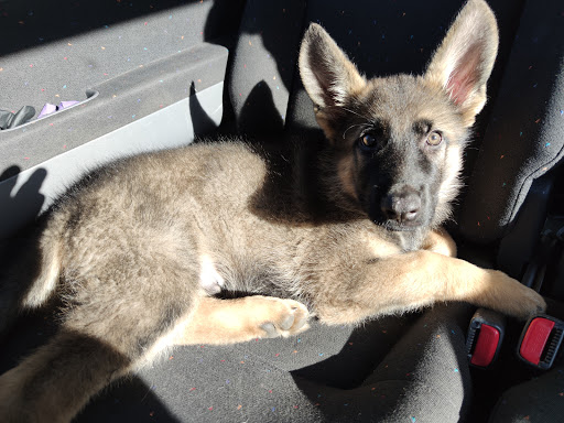 Clínica Veterinaria La Antilla – Islantilla