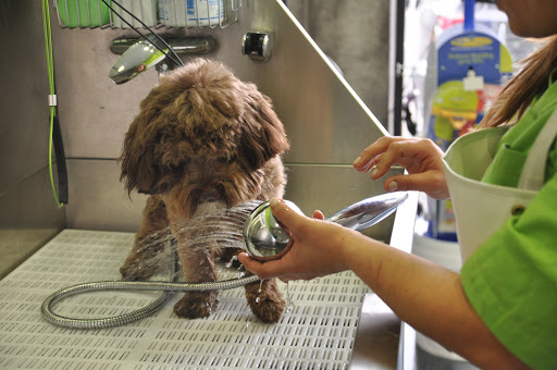 Clínica Veterinaria La Bañeza – La Bañeza
