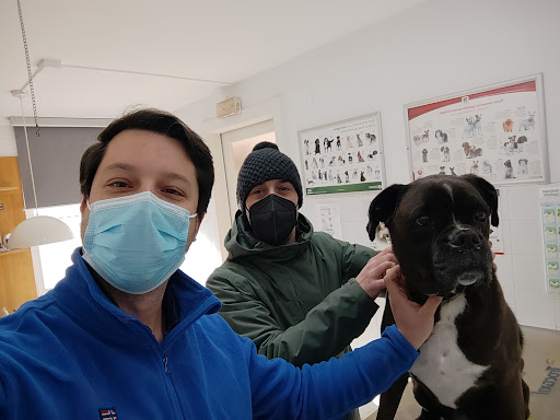 Clínica Veterinaria La Barquera – San Vicente de la Barquera