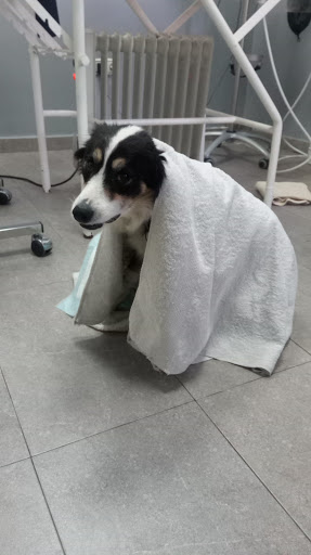 Clínica Veterinaria La Cabrera – La Cabrera