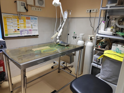 Clínica Veterinaria La Cañada – Madrid