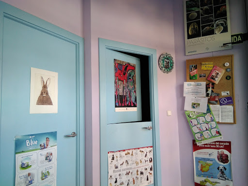 Clínica Veterinaria La Milagrosa – Zaragoza