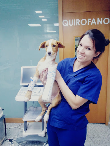 Clínica Veterinaria La Mota – Benavente