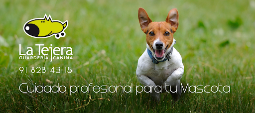 Clínica Veterinaria La Navata – Galapagar