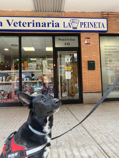 Clínica Veterinaria La Peineta – Madrid