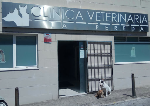 Clínica Veterinaria La Pereda – Santander