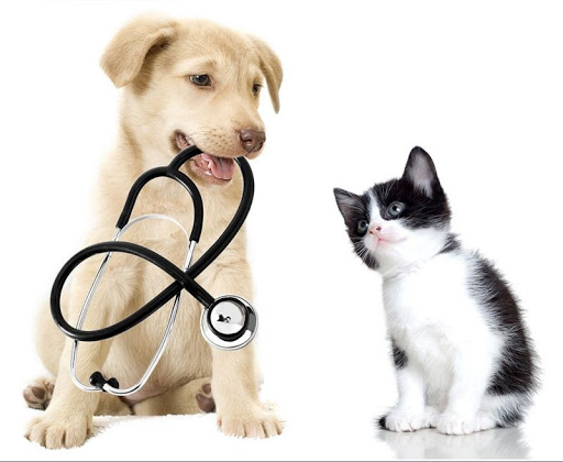 Clínica Veterinaria La Rosa – Santiago de Compostela