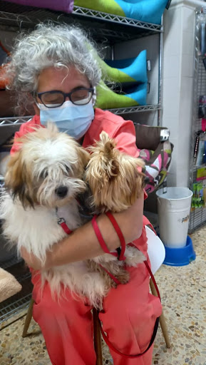 Clínica Veterinaria La Salut – Centro Veterinario Barcelona – Barcelona