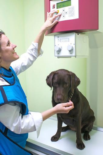 Clínica Veterinaria La Zarzuela – Madrid