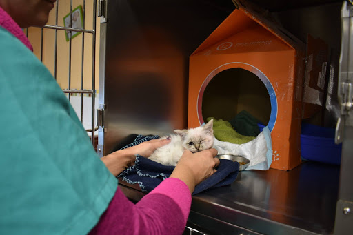 Clínica Veterinaria Las Cigüeñas – Alfaro