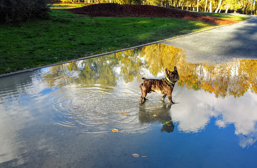 Clínica Veterinaria Las Nieves – Santa Marta de Tormes
