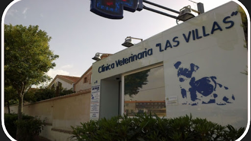 Clínica Veterinaria Las Villas – Cobisa