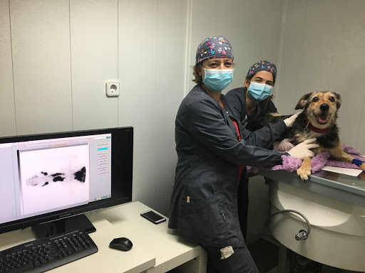 Clínica Veterinaria Leganés Norte – Leganés