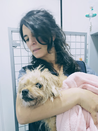 Clínica Veterinaria L’eriçó Blau – Sant Hilari Sacalm