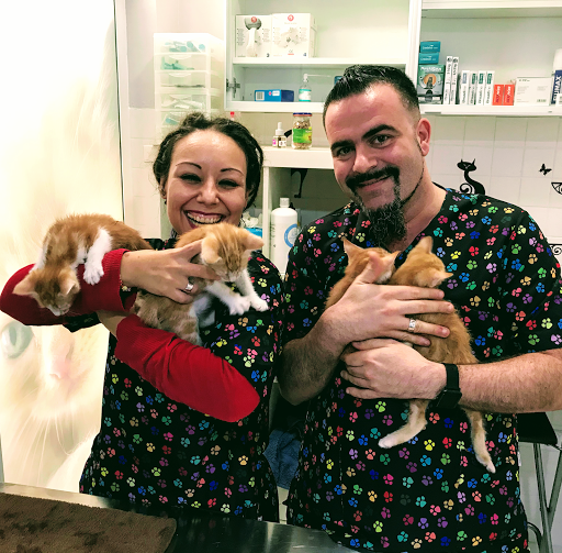 Clínica Veterinaria Lobo Gris – Alboraya