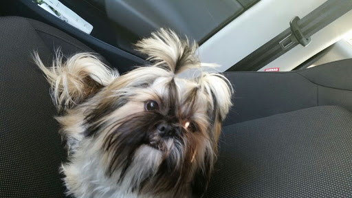 Clínica Veterinaria Los Altos – Mairena del Aljarafe