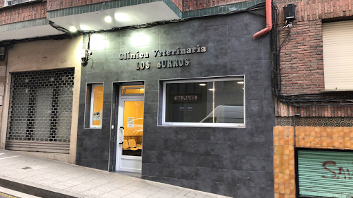 Clínica Veterinaria Los Burros – Basauri