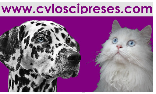 Clínica Veterinaria Los Cipreses – Sitio de Calahonda
