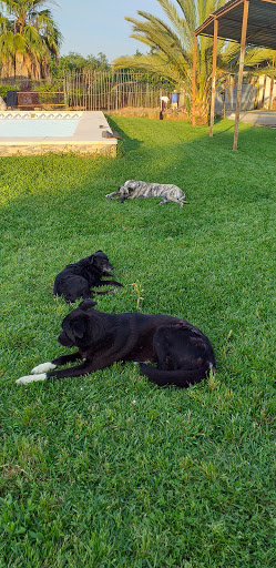 Clínica Veterinaria Los Corrales – Sevilla