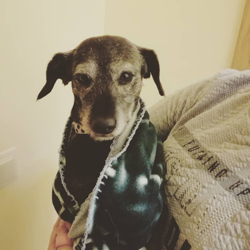 Clínica Veterinaria: Los Tendales – Baiona