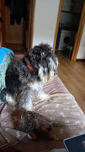 Clínica Veterinaria Luna Villamayor Salamanca – Villamayor