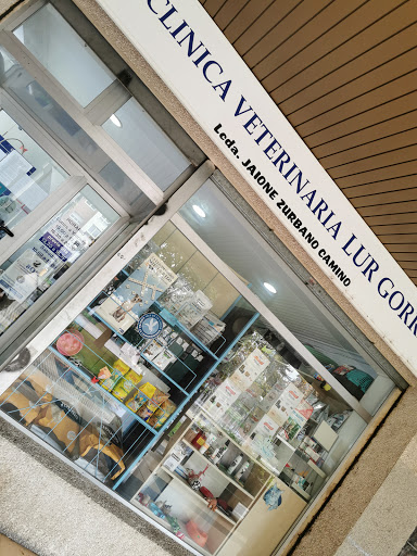 Clínica Veterinaria Lur Gorri – Barañáin