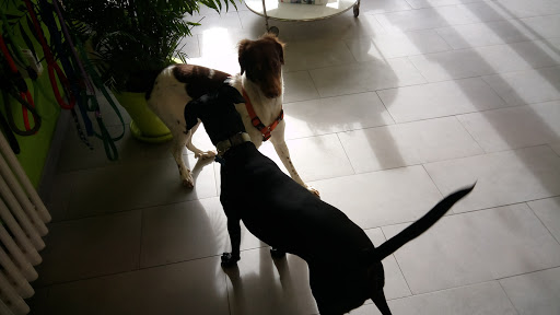 Clínica Veterinaria Madridrio – Madrid