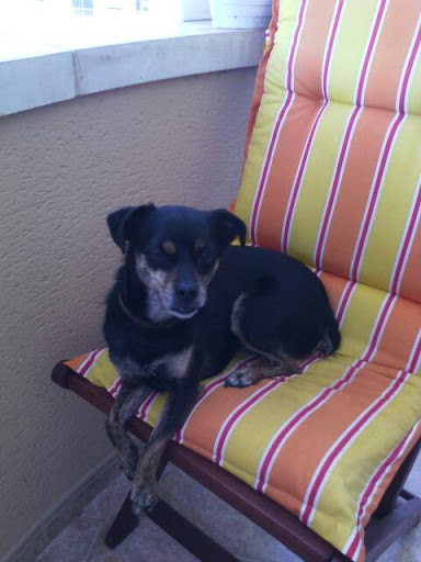 Clínica Veterinaria Maioris – Maioris, Illes Balears