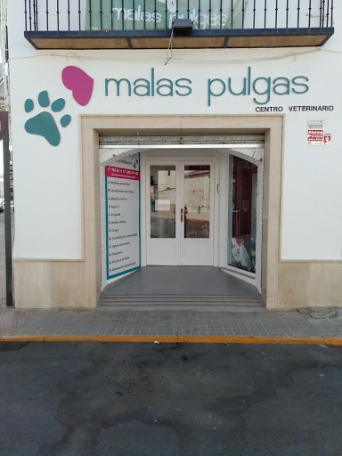 Clínica Veterinaria Malas Pulgas – Almagro