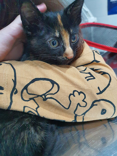 Clínica Veterinaria Mamen González Llerandi – Cangas de Onís