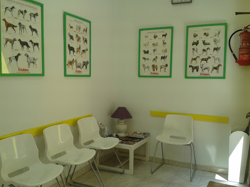 Clínica Veterinaria Mantuano – Madrid