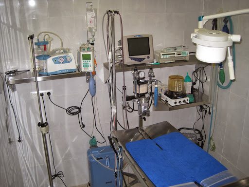 Clínica Veterinaria Mares S.l. – Alicante