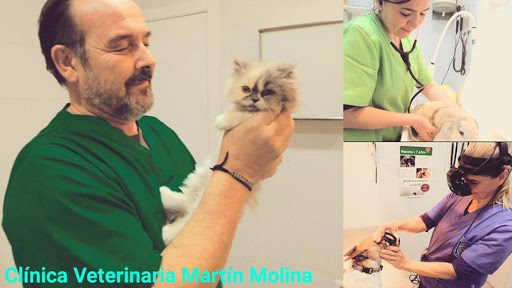 Clínica Veterinaria Martín Molina – Valencia